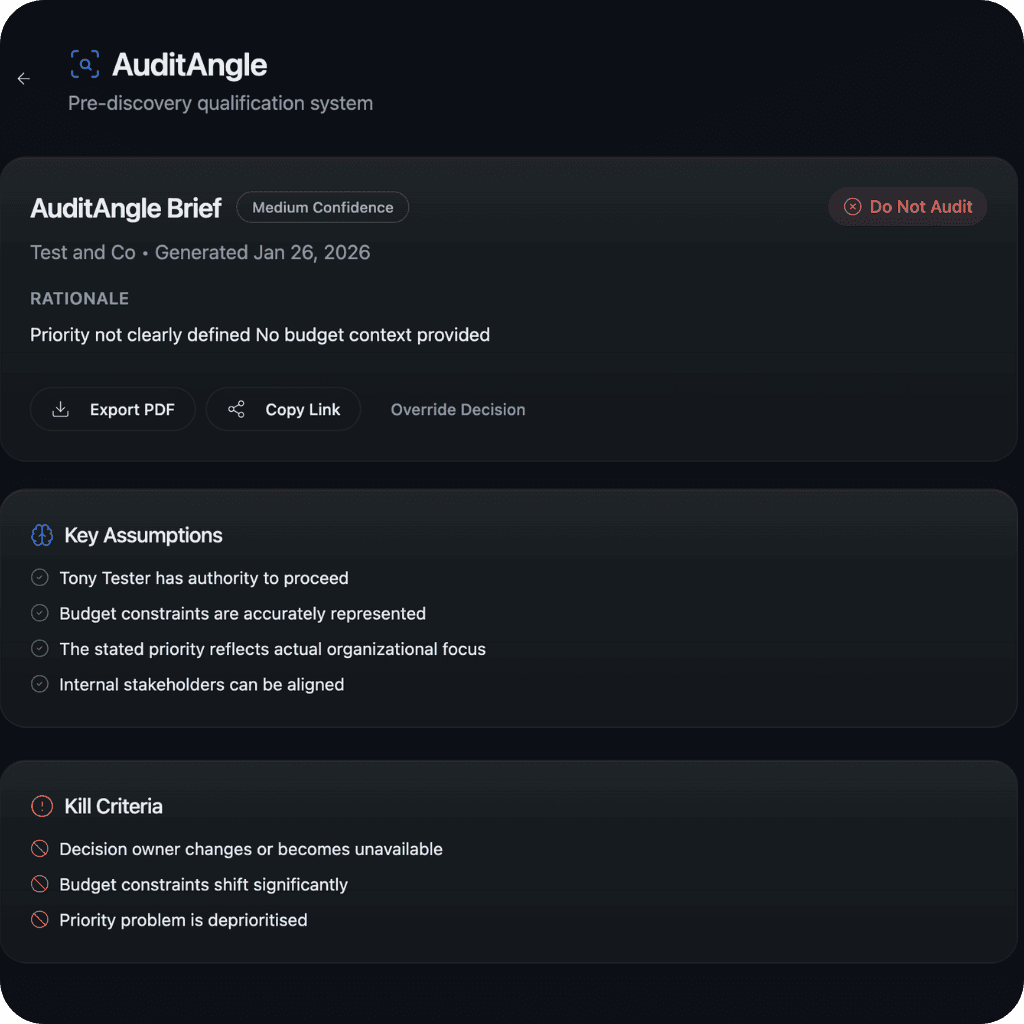 AuditAngle decision summary showing brief details, key assumptions, and kill criteria